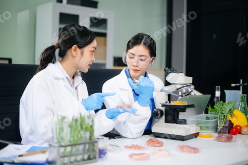 Preview: Asian food scientists inspect raw meat samples under microscope for biotech research,