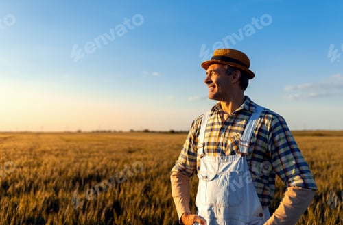 Vista previa: Retrato de un granjero adulto de pie en un campo de trigo al atardecer.