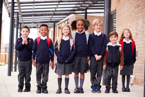 Preview: Primary school kids standing in a row on a walkway outside their school, smiling to camera