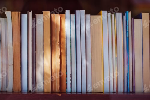 Preview: Libary books on the shelf
