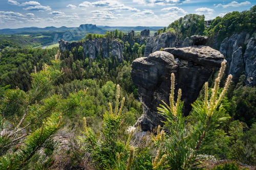 Preview: Panoramic view of famous Bastei national park Saxon Switzerland, Germany. Pine tree on stone edge