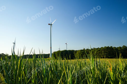 Preview: Power turbines on a field in Germany for a green future with renewable energy