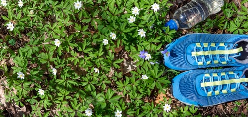 Preview: Sport shoes and bottle of water on fresh green grass in the park. Concept healthy lifestyle