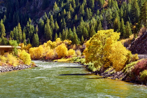 Preview: Landscape with autumn trees and river