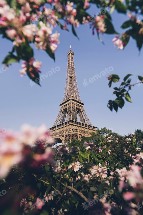 Preview: The Eiffel Tower at Champ de Mars in Paris, France