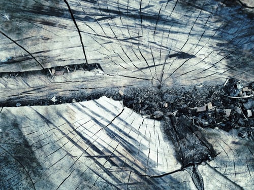 Preview: Grunge Wood Texture And Background