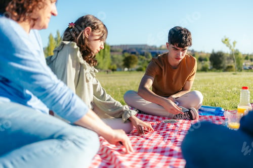 Preview: Family enjoying a sunny day playing cards at a picnic in a park
