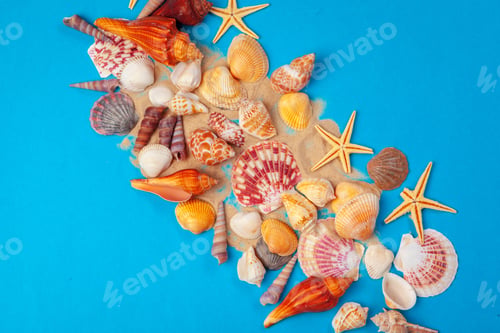 Preview: Flat lay. Top view. Frame of shells of various kinds on a blue background