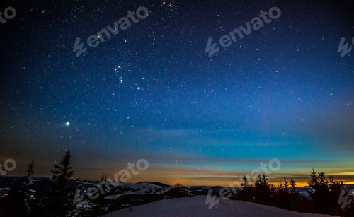 Preview: The magical landscape of coniferous forest