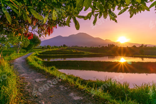 Preview: beautiful morning view from Indonesia of mountains and tropical forest