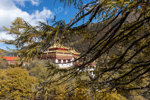 Preview: chong gu temple with snow mountain at daocheng,yading,china