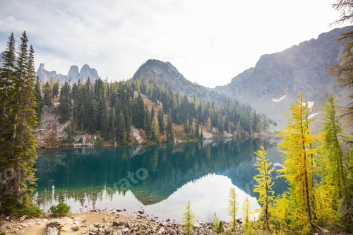 Preview: Larch
