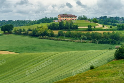 Preview: Vineyards of Monferrato near Cuccaro at springtime