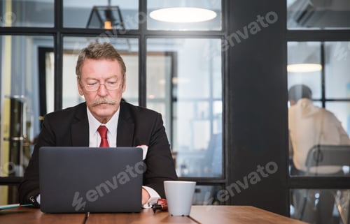 Preview: Senior businessman sitting in the office typing computer
