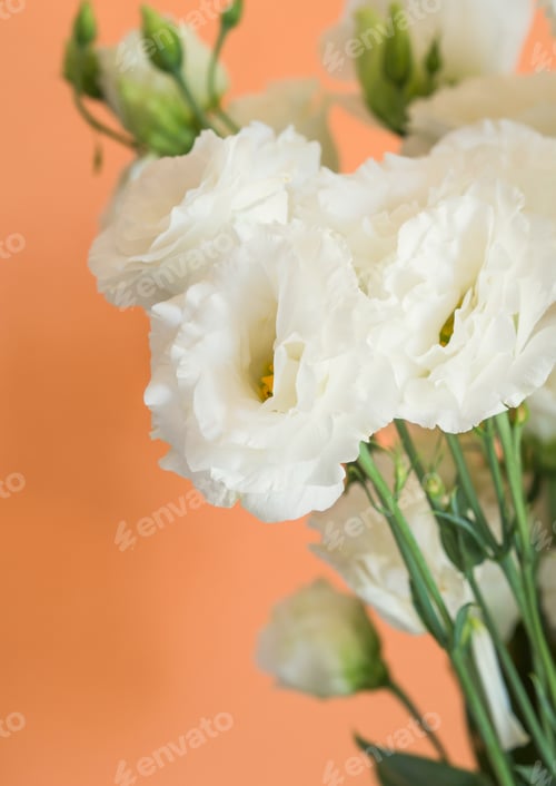 Preview: Beautiful eustoma flowers bouquet on orange