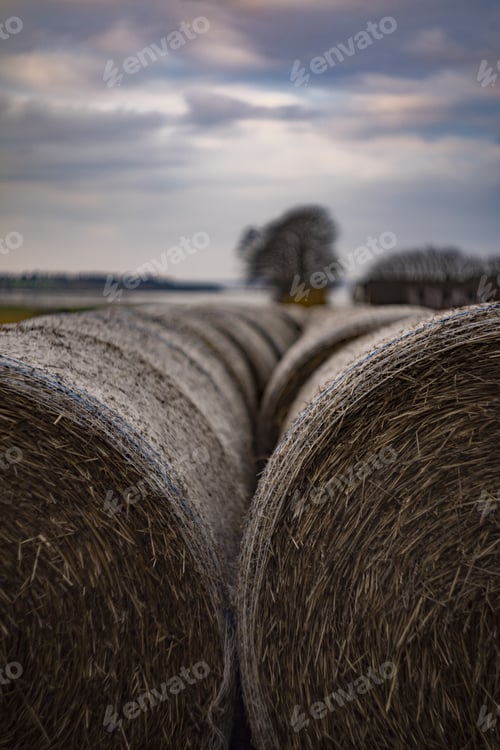 Preview: Stacks of hay in a field with beautiful background