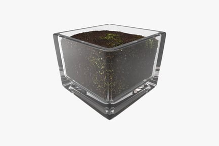 Glass cube containing soil and moss