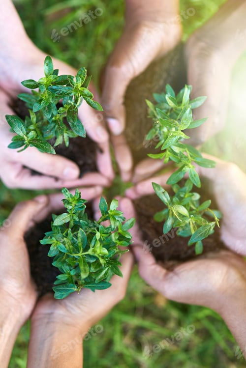 Preview: Strengthening sustainability. Shot of four people each holding a plant growing in soil.