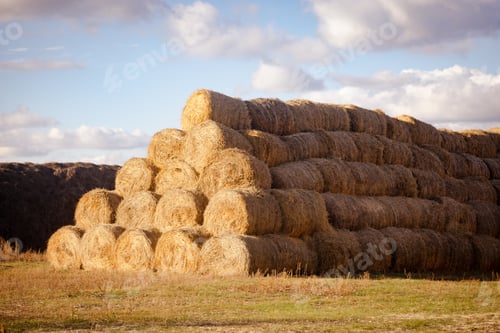 Preview: Gigantic rolled hay bales heap with stacks on each other resembling house roof with few clouds on
