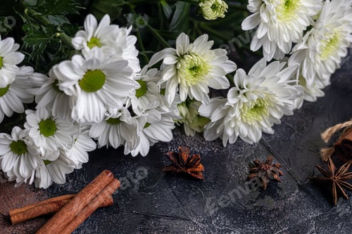 Preview: Bouquet of chrysanthemums. There are drops of water on the petals. On a dark concrete background.