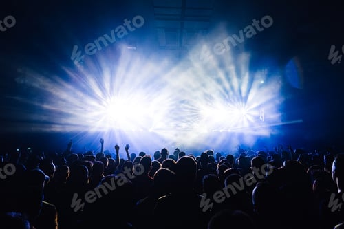 Preview: Crowd of people at music festival at night having fun and dancing.