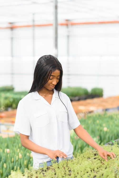 Preview: Innovation technology for smart farm system. Smiling african american girl checks flowers