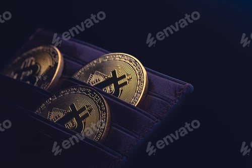 Preview: bitcoin cryptocurrency in black leather wallet
