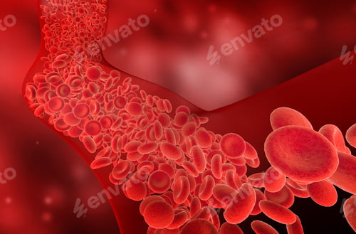 Preview: flow of red blood cells into the blood vessel, 3D illustration