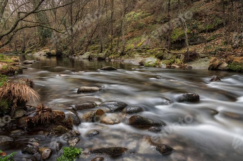Preview: Pedro Chate Gorge, Serene forest stream with flowing water.