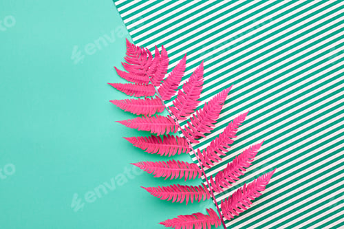 Preview: Tropical