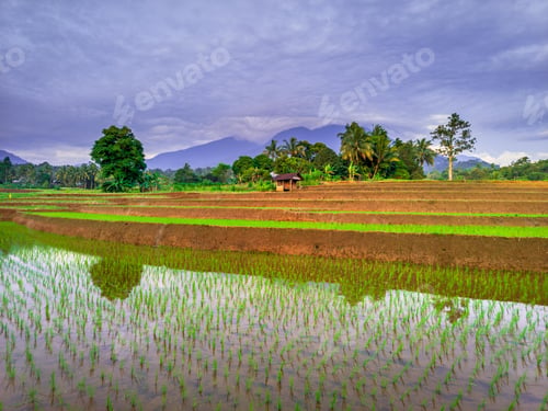 Preview: beautiful morning view from Indonesia of mountains and tropical forest