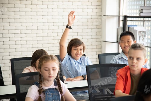 Preview: Elementary school male students raise their hands to ask class teacher