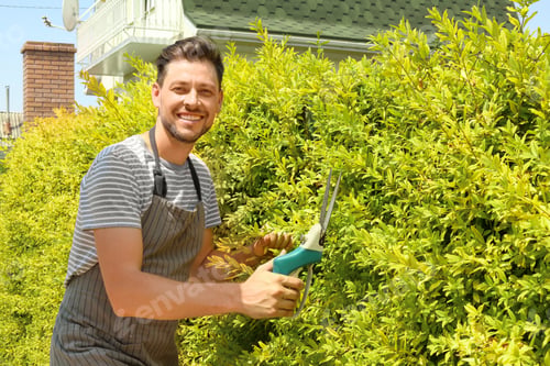 Preview: Man trimming bushes in garden on sunny day