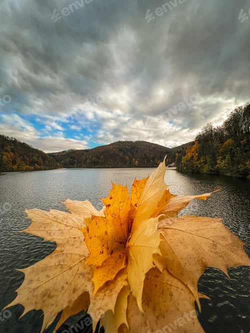 Preview: A bouquet of autumn leaves against the backdrop of a mountain lake. Autumn in the mountains