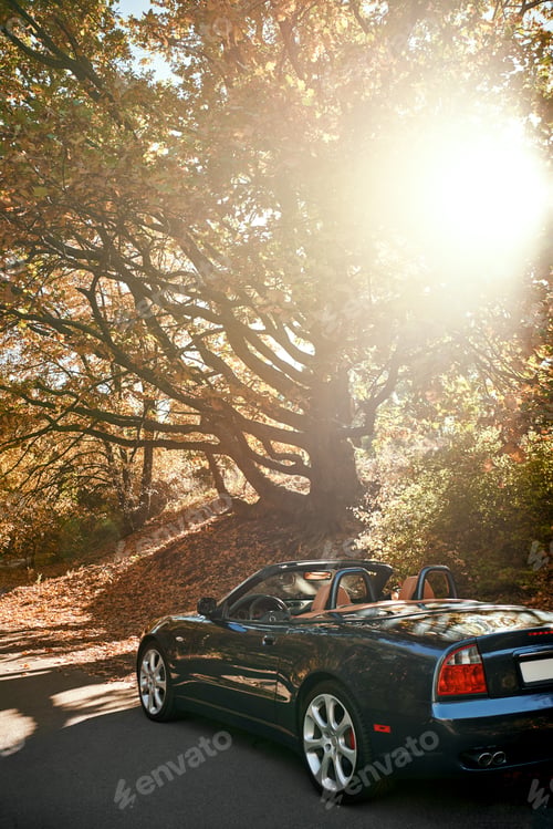 Preview: A black roofless car driving fast on the asphalt with a beautiful sunrise