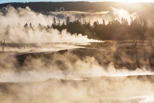 Preview: Yellowstone
