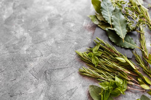 Preview: Fresh italian herbs on dark background. Variety of herbs, basil, rosemary, myrtle, laurel