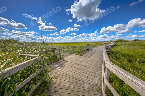 Preview: Wooden boardwalk with seats through reed marshland