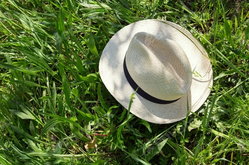 Preview: High angle view of panama hat on grass
