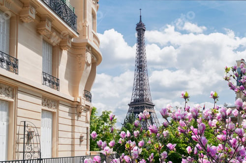 Preview: eiffel tour and Paris street