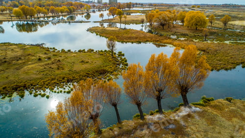 Preview: Autumn Forest And River