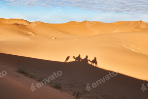 Preview: Shadow on sand of camels and people