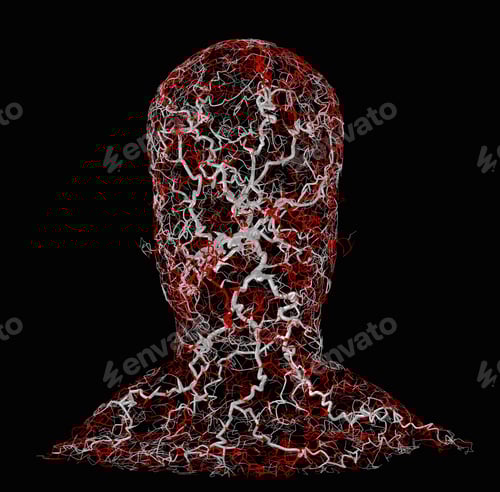 Preview: Human head with a fractal system of blood vessels