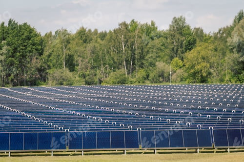 Preview: Collector park of solar energy panels, sustainable development concept