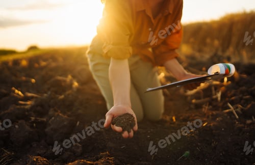 Preview: Woman farmer's hand touch soil, check its health before growing vegetables. Concept of agriculture.
