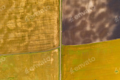 Preview: Aerial top view drone photography of a land with sown green fields in countryside