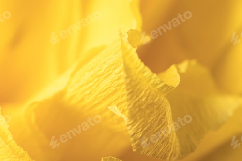 Preview: Fragment of a yellow flower made of crepe paper. Macro photography