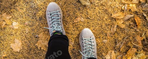 Preview: Banner Top view of crop anonymous person in boots standing on ground covered with fallen yellow
