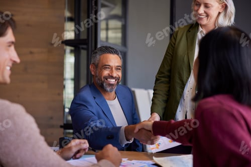 Preview: Successful business handshake at office