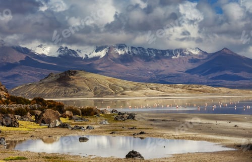 Preview: Northern Chile